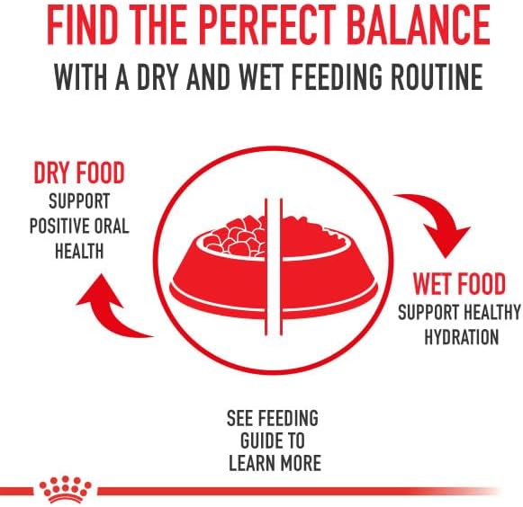 Royal Canin Canine Health Nutrition Puppy Canned Dog Food, 13.5 oz can (6-pack)